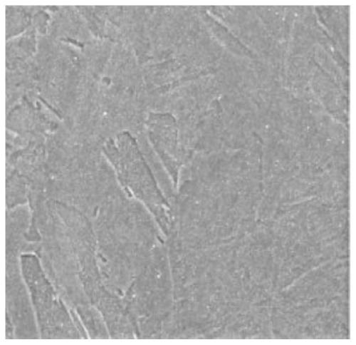 Maraging steel based on SLM (Selective Laser Melting) molded part and preparation method thereof