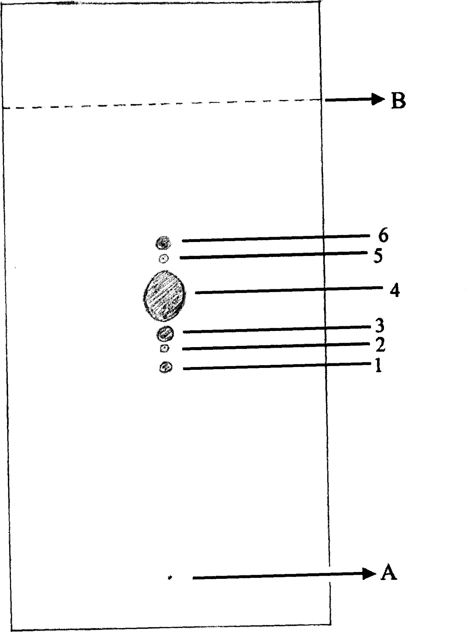 Cyclovirobuxinum D crystal, its mono-methanol crystal, and preparation and use thereof