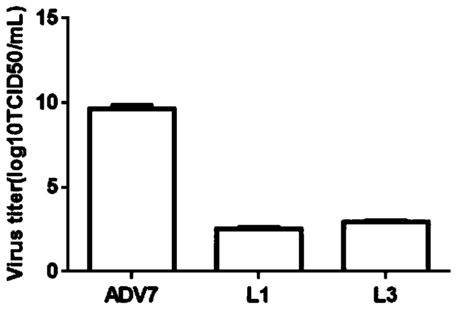 Monoiodobenzoic acid compound and application thereof in resisting ADV7 virus