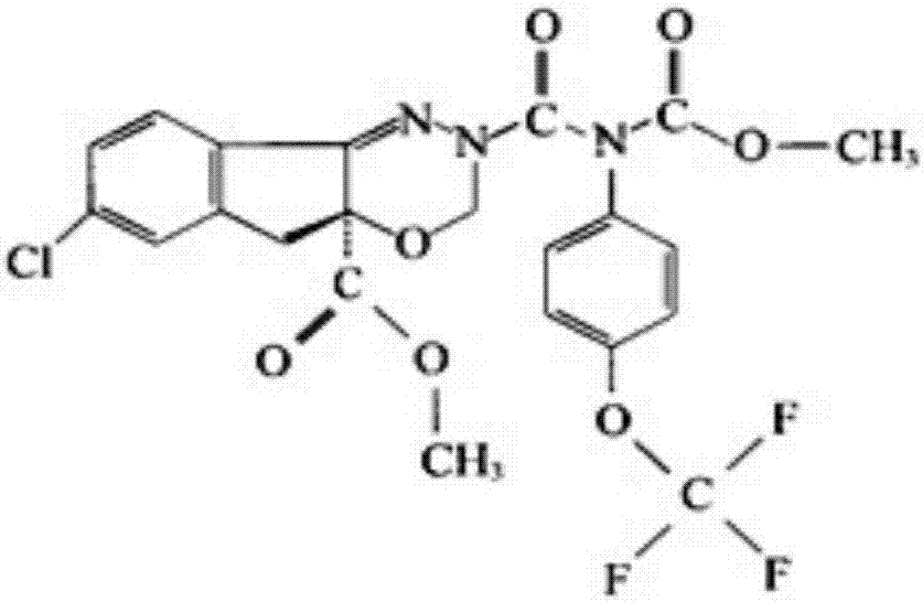 Insecticidal composition containing indoxacarb and cycolxylidin