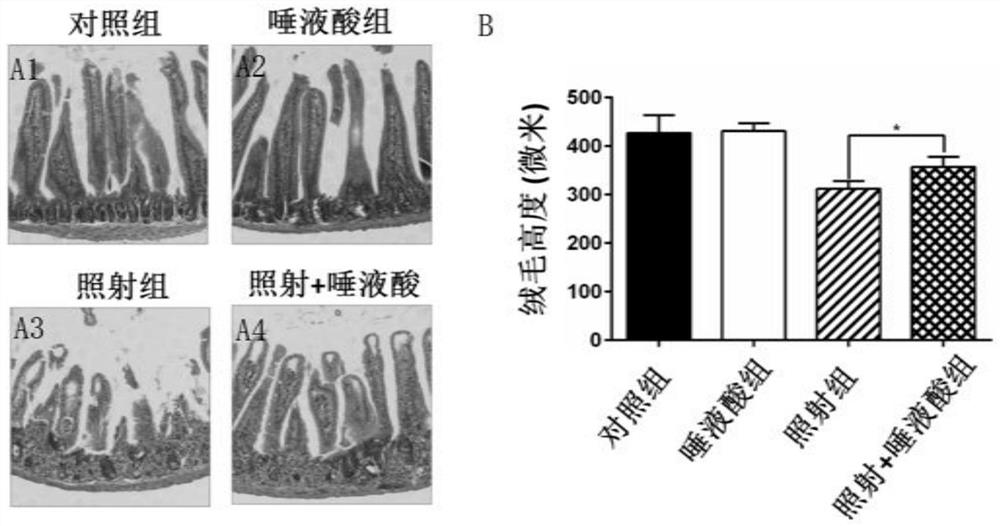 Application of sialic acid in the preparation of protective drugs for intestinal tract or dna damage caused by ionizing radiation