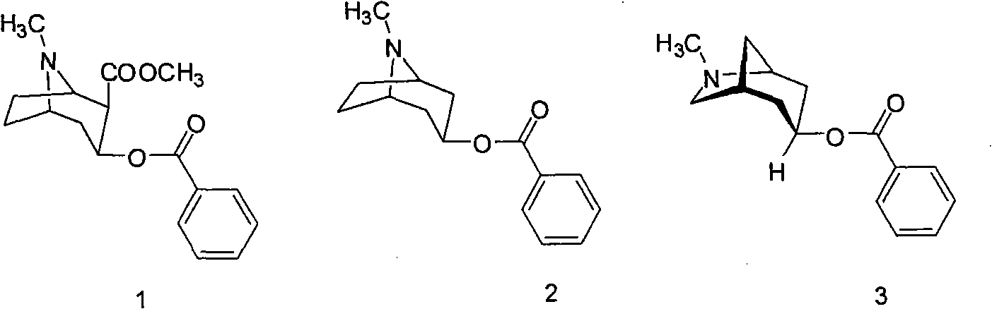 6-azabicyclo (3.2.1) nonane-3-substituted derivative and preparation method thereof