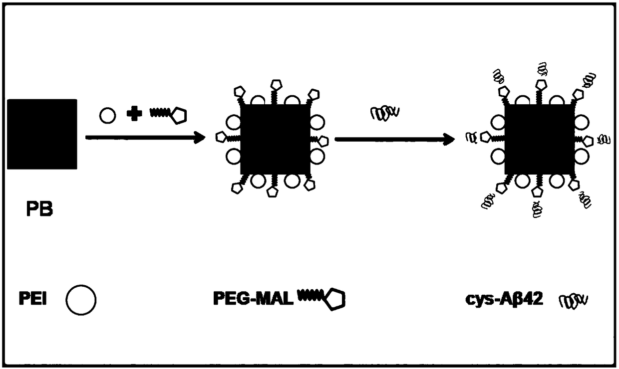 Prussian blue nano MRI tracer agent as well as preparation method and application thereof