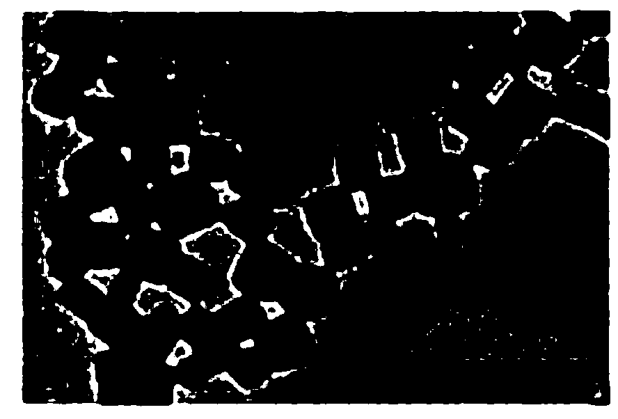 Prussian blue nano MRI tracer agent as well as preparation method and application thereof