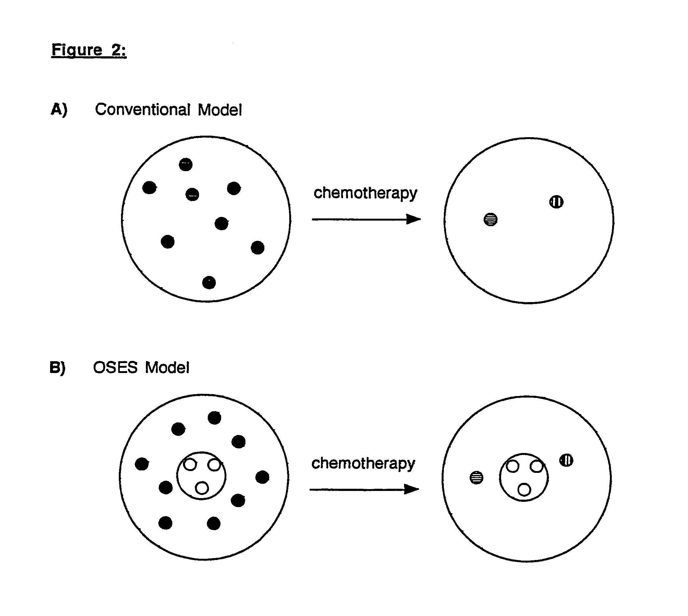 Methods of cancer therapy targeted against a cancer stem line