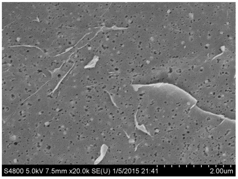 Porous graphene as well as preparation method and application thereof