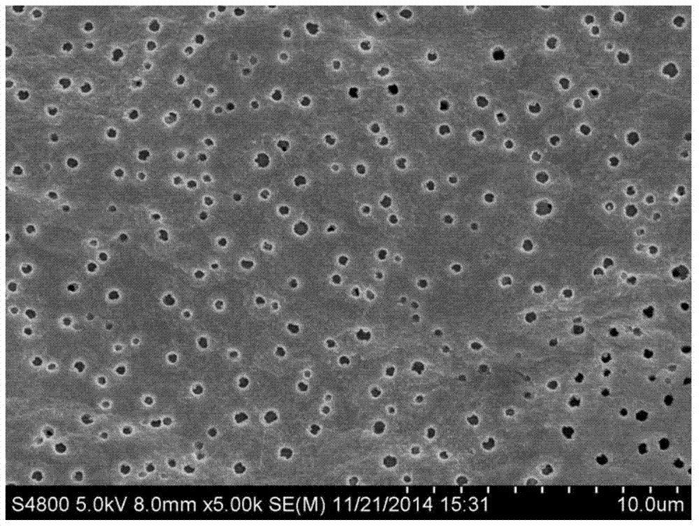 Porous graphene as well as preparation method and application thereof