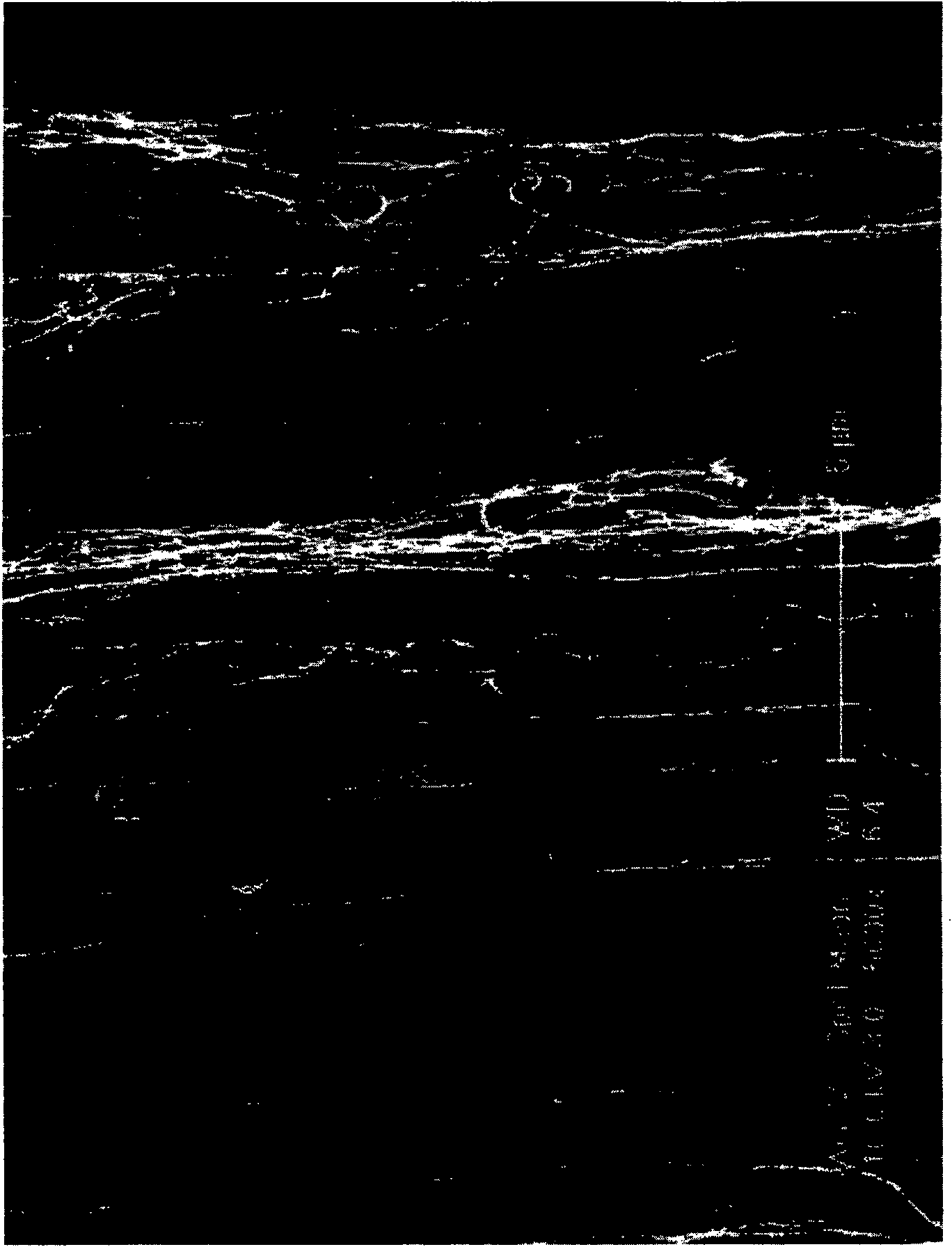 Transparent carbon nanotube membrane preparing method