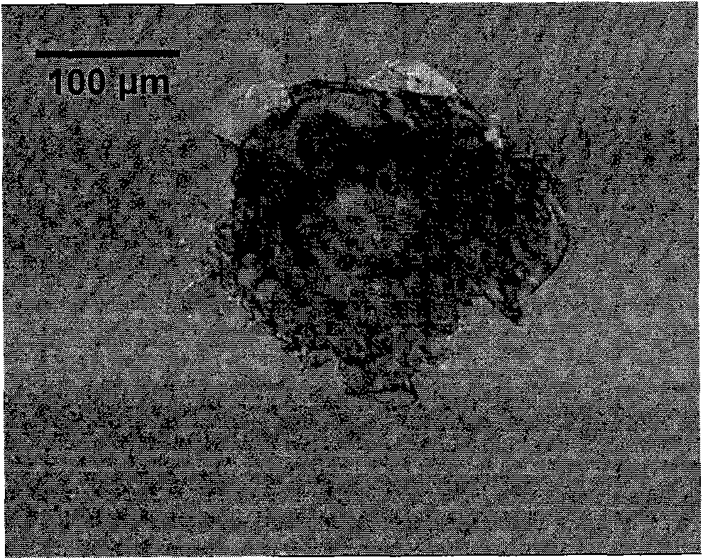 Method for repairing fused quartz optical damage component