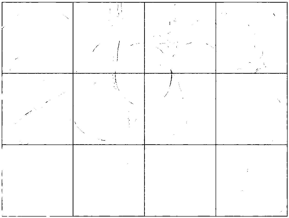 Method for detecting citrus fruits on tree