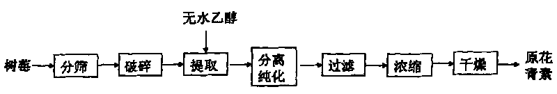 Method for extracting proanthocyanidins from raspberry