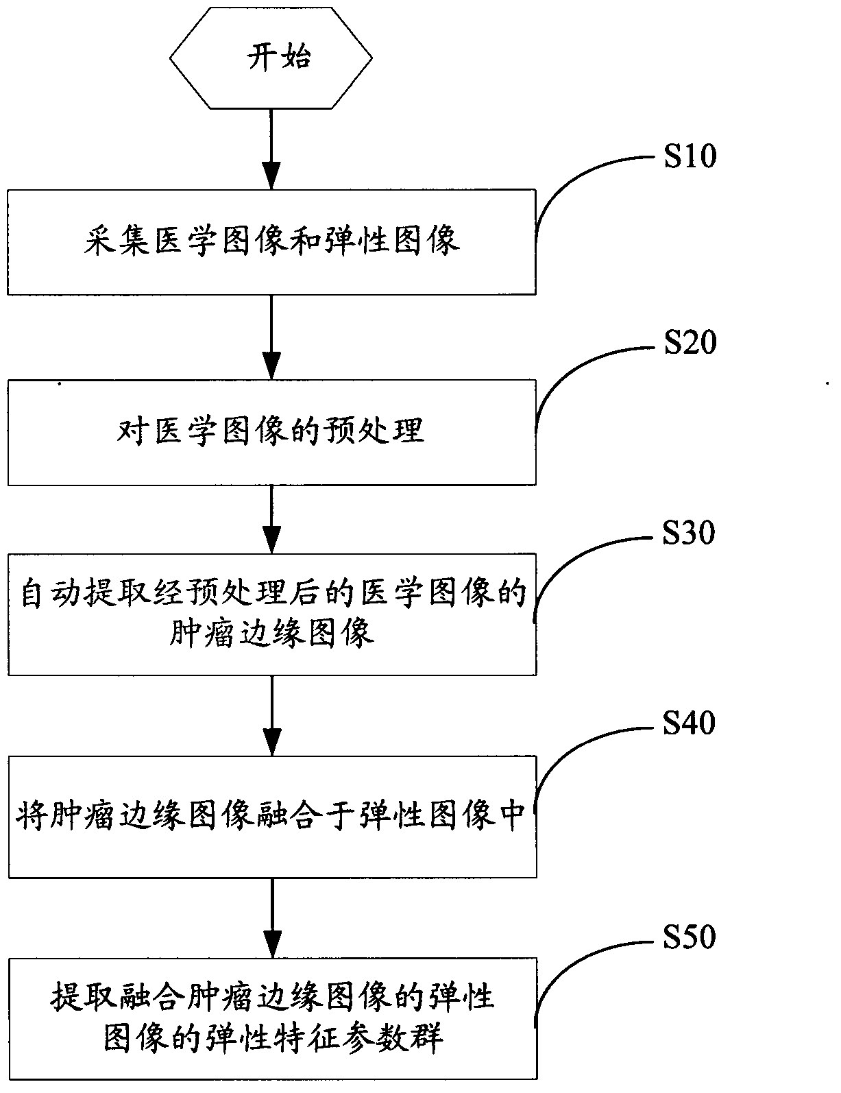 Method for extracting tumor elasticity characteristics based on ultrasonic elastography