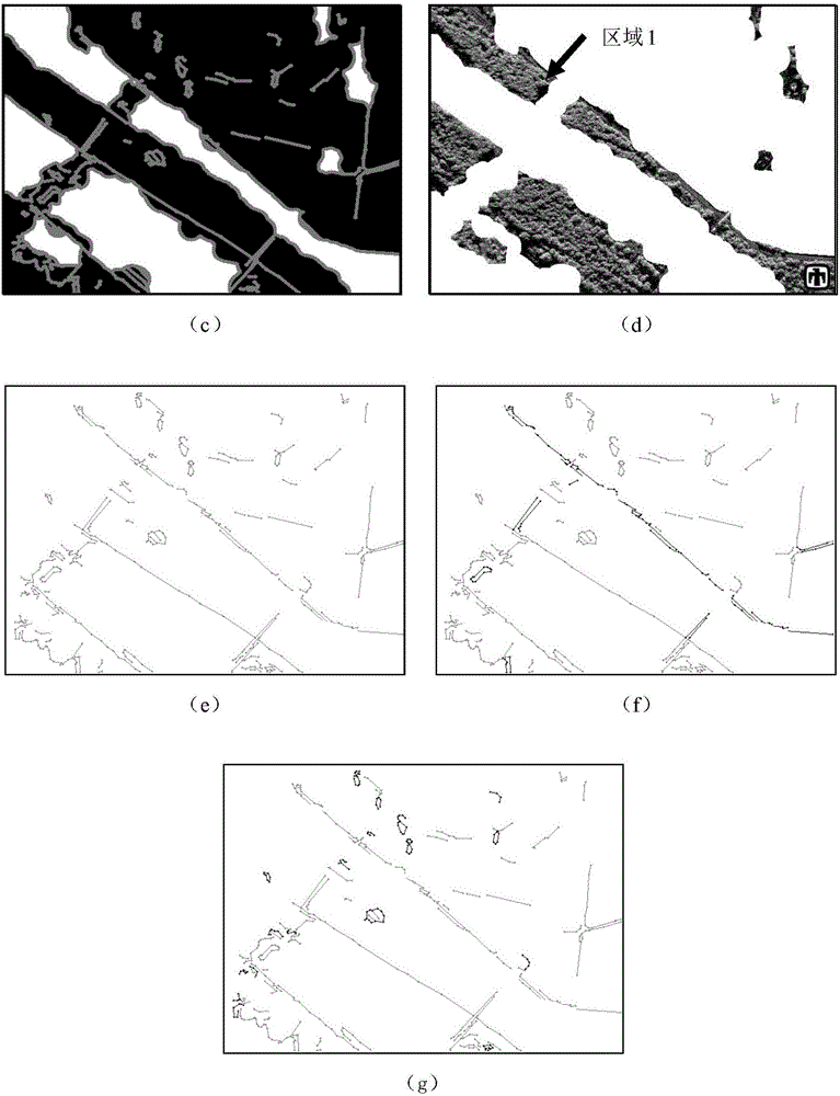 SAR image segmentation method based on feature learning and sketch line constraint