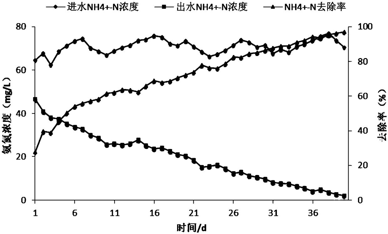 SBR partial nitrosation process matching anaerobic ammonium oxidation