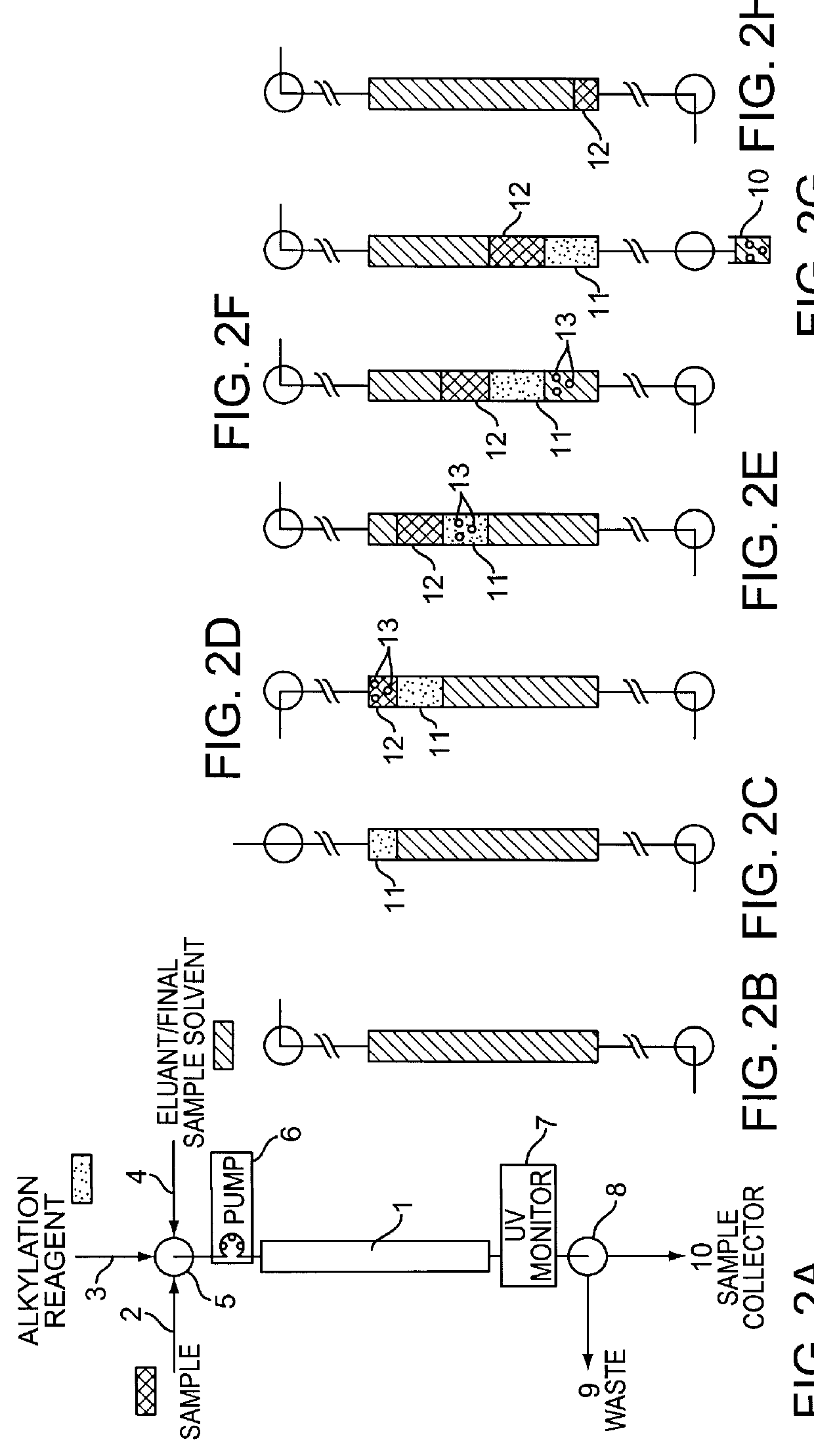 Automated system for two-dimensional electrophoresis