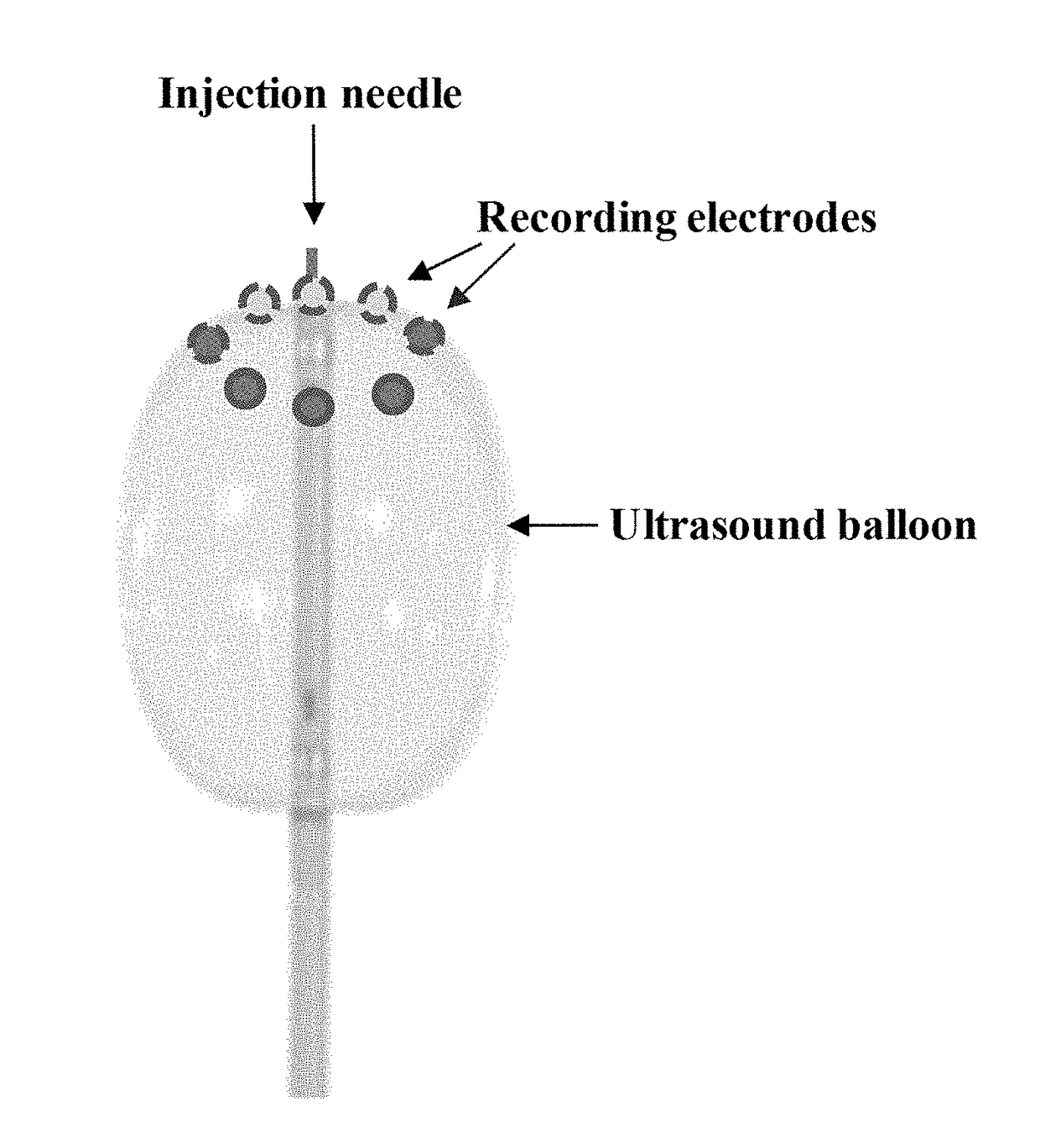 Devices for material delivery, electroporation, sonoporation, and/or monitoring electrophysiological activity