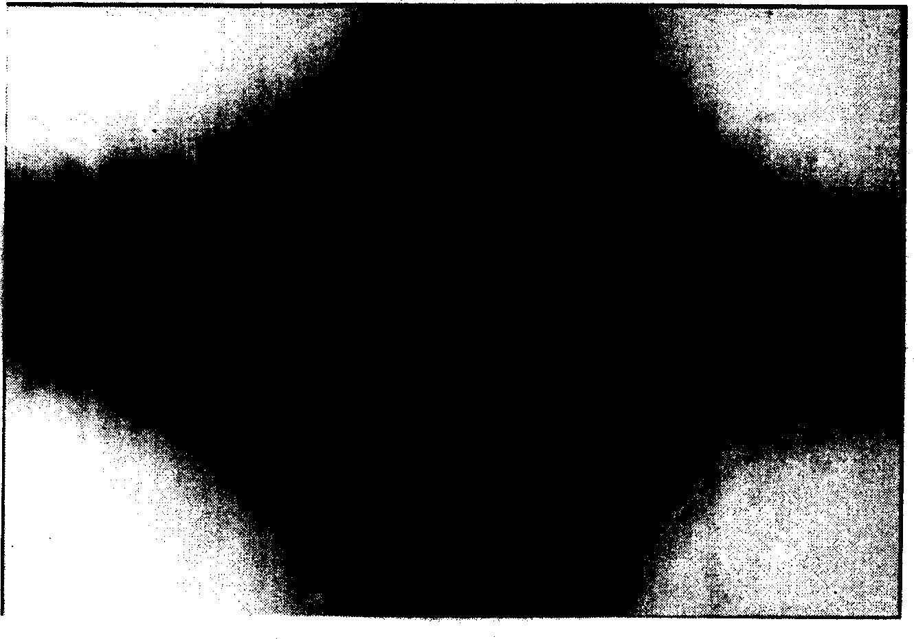 Method for preparing liquid crystal vertical orented membrane