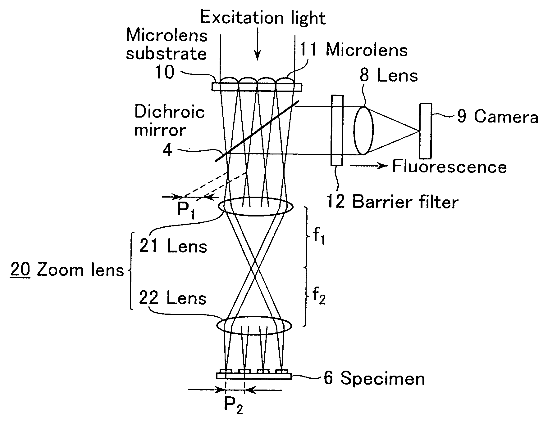 Biochip reader and fluorometric imaging apparatus