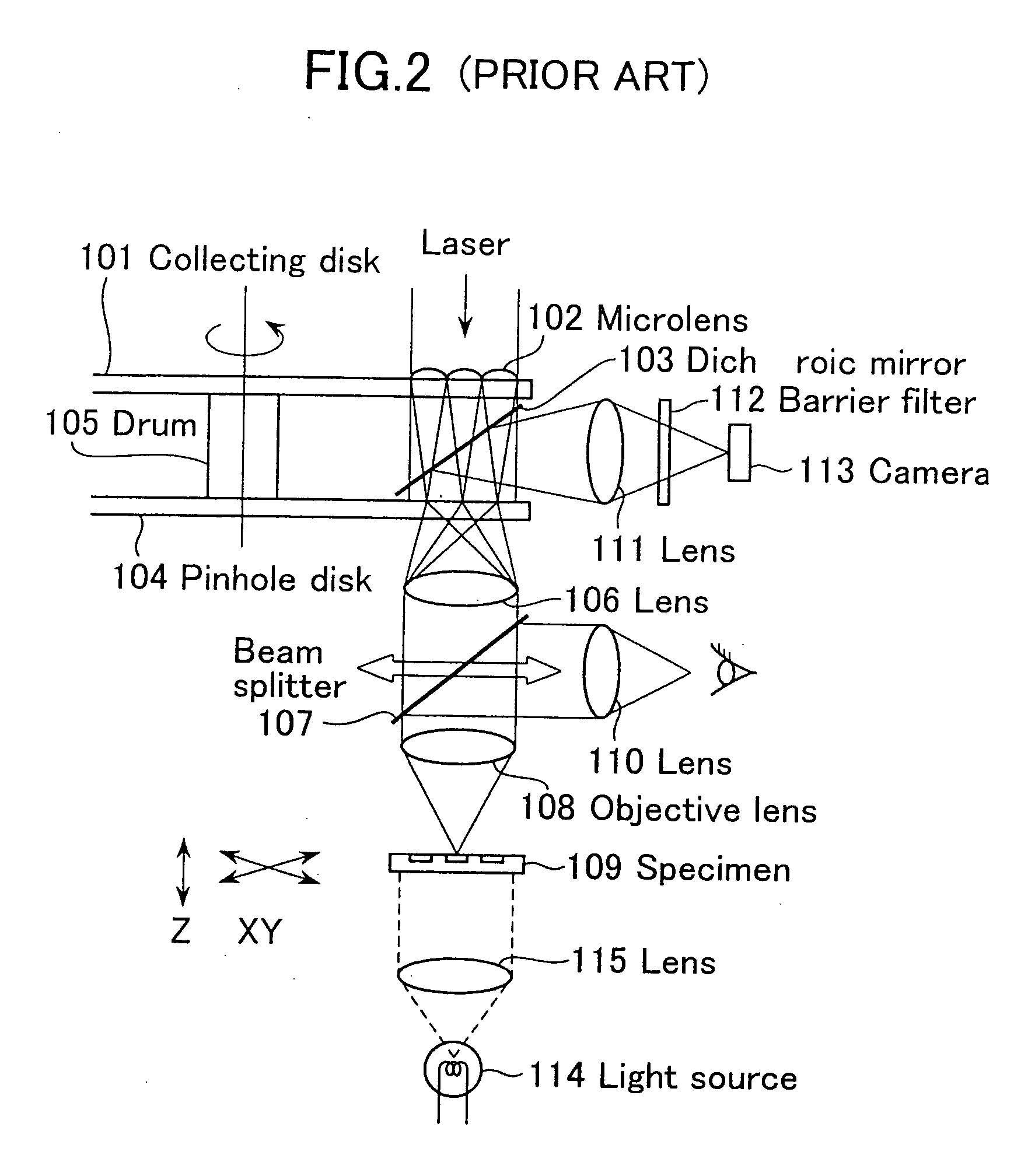 Biochip reader and fluorometric imaging apparatus