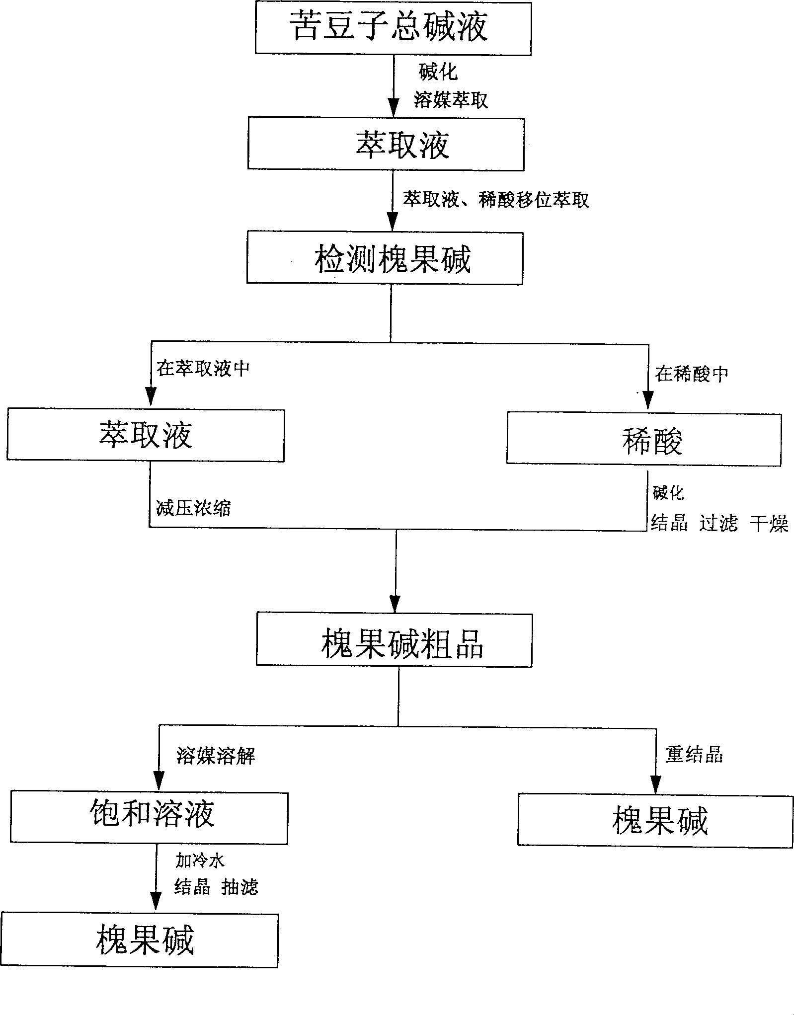 Process for preparing sophocarpine