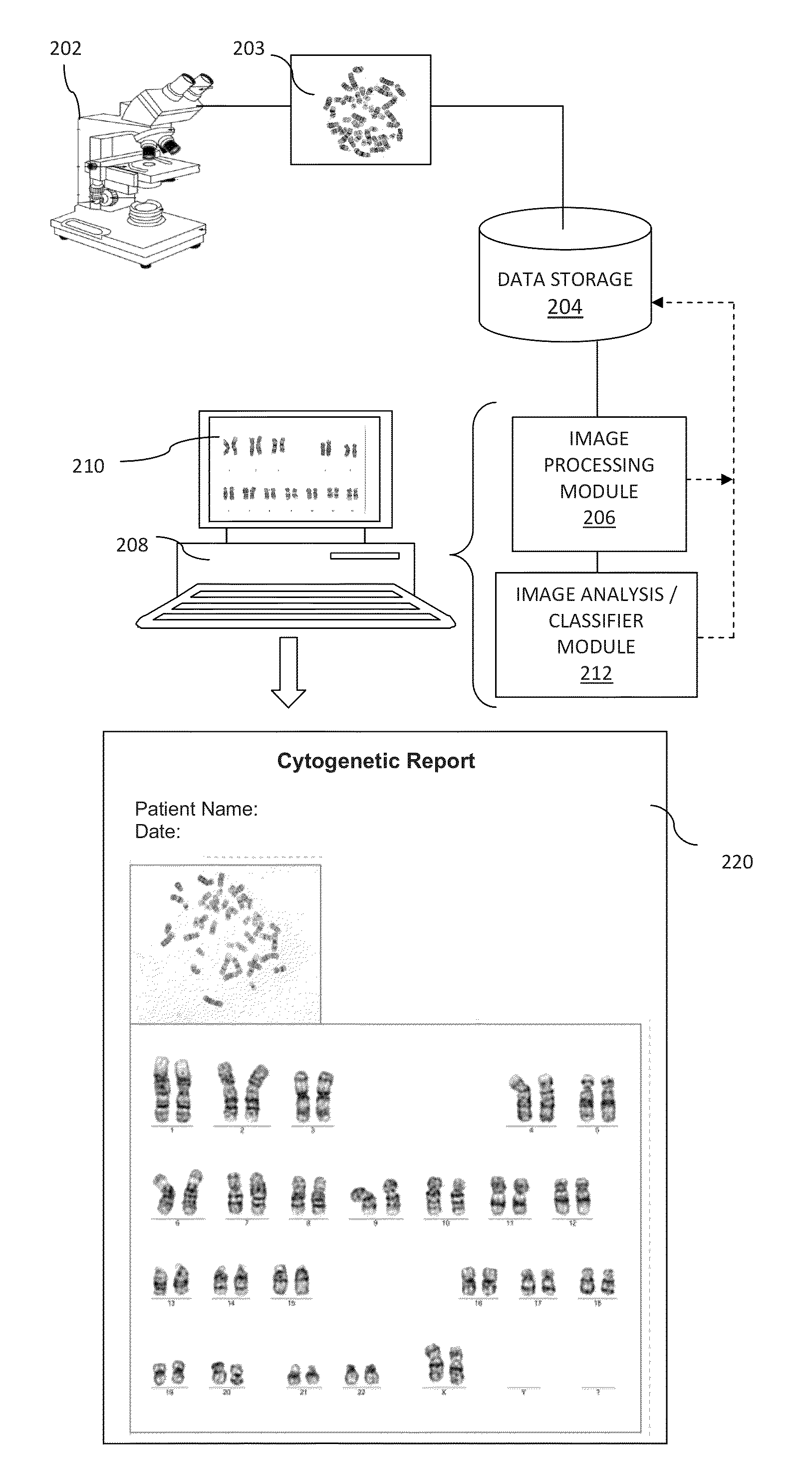 Computer-assisted karyotyping