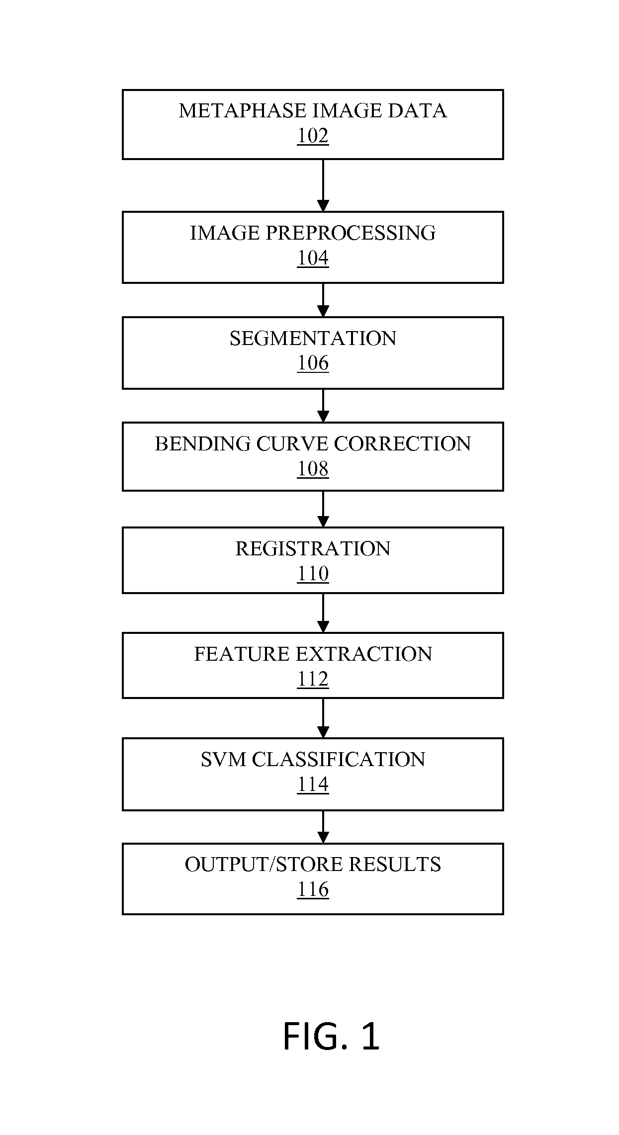 Computer-assisted karyotyping