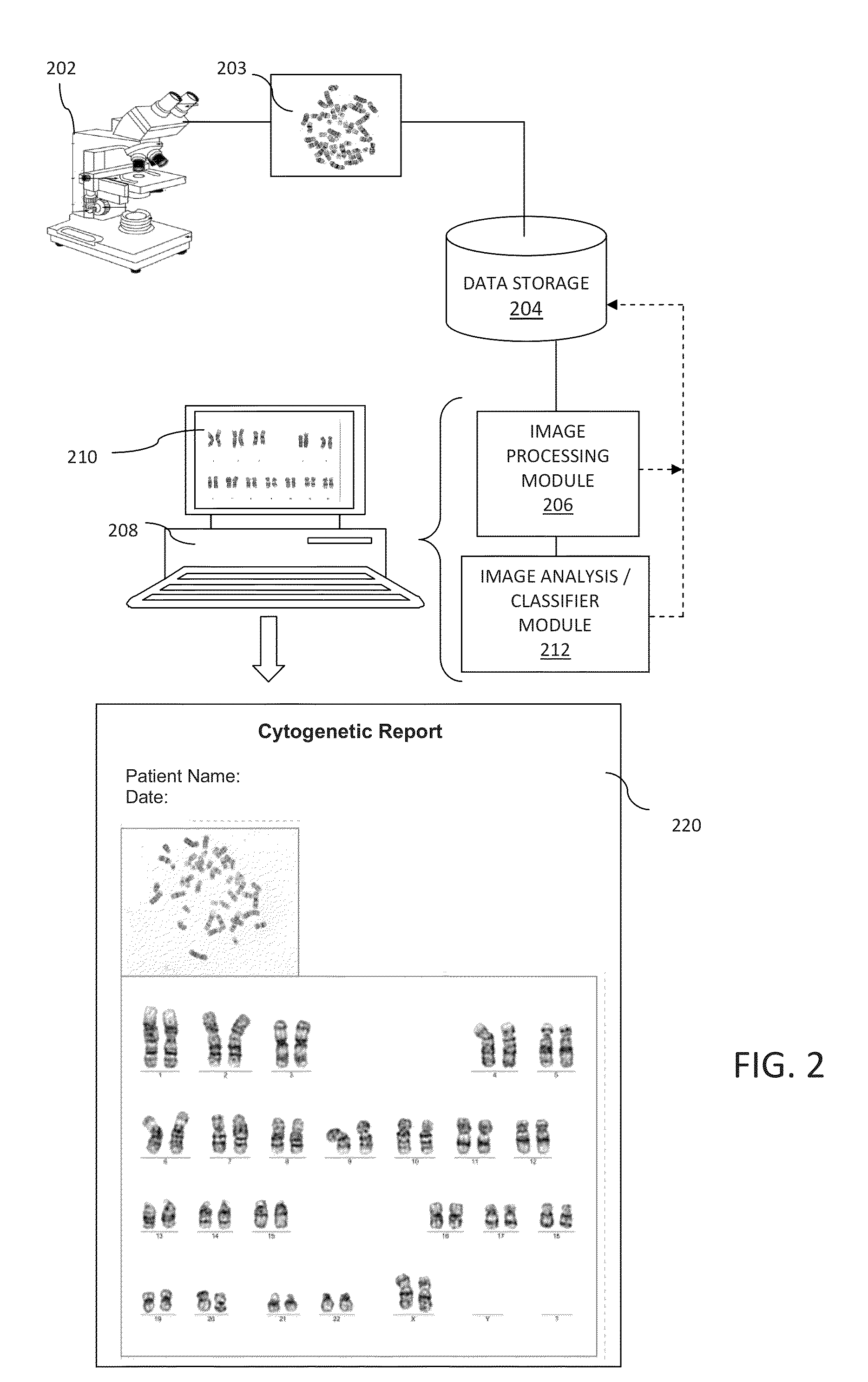 Computer-assisted karyotyping