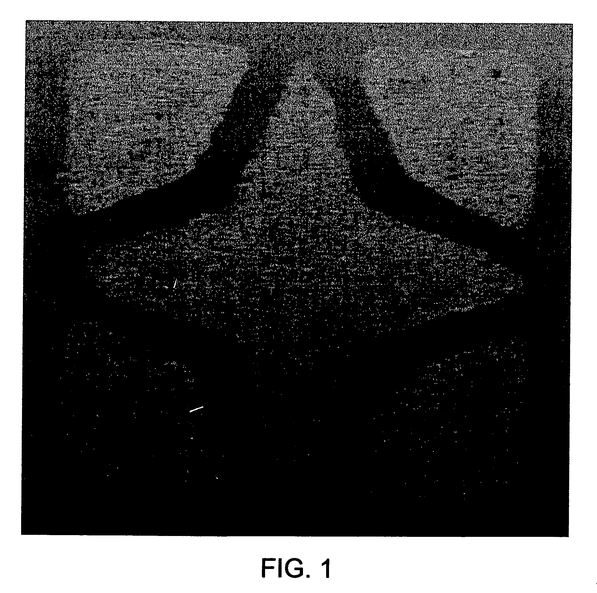 UV curable catalyst compositions