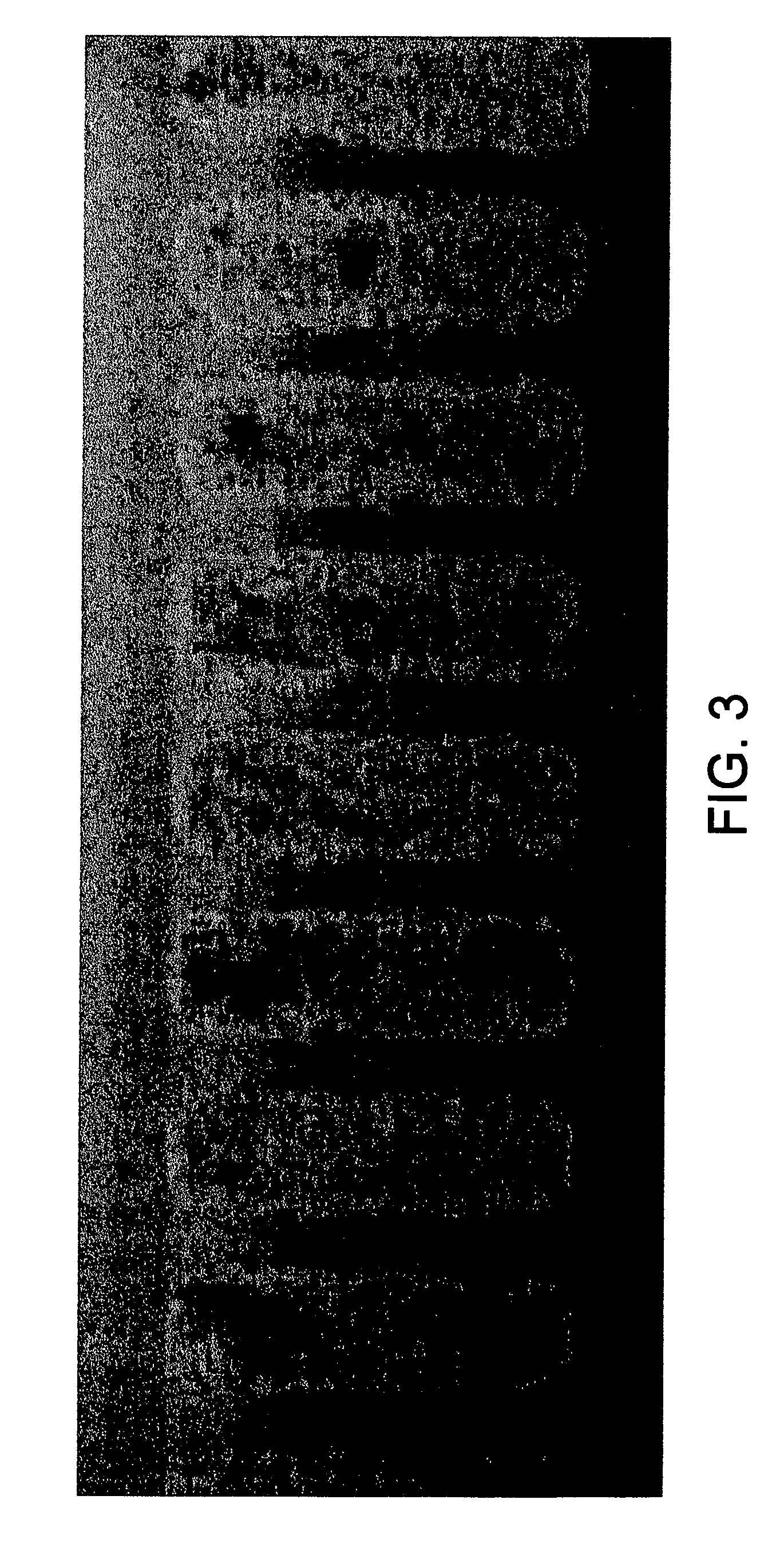 UV curable catalyst compositions