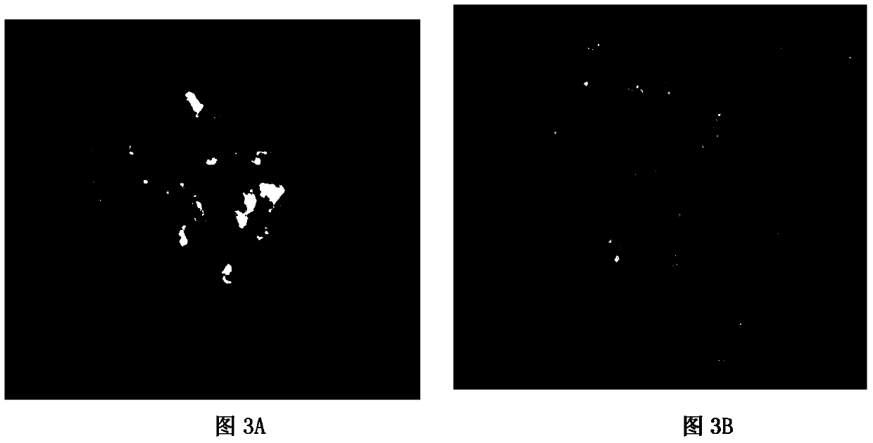 Construction method and use of duck enteritis virus bacterial artificial chromosome