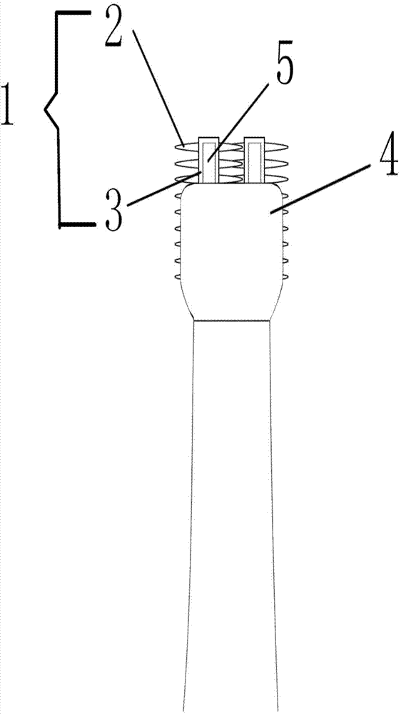 Brush head device of multifunctional mouth care tool