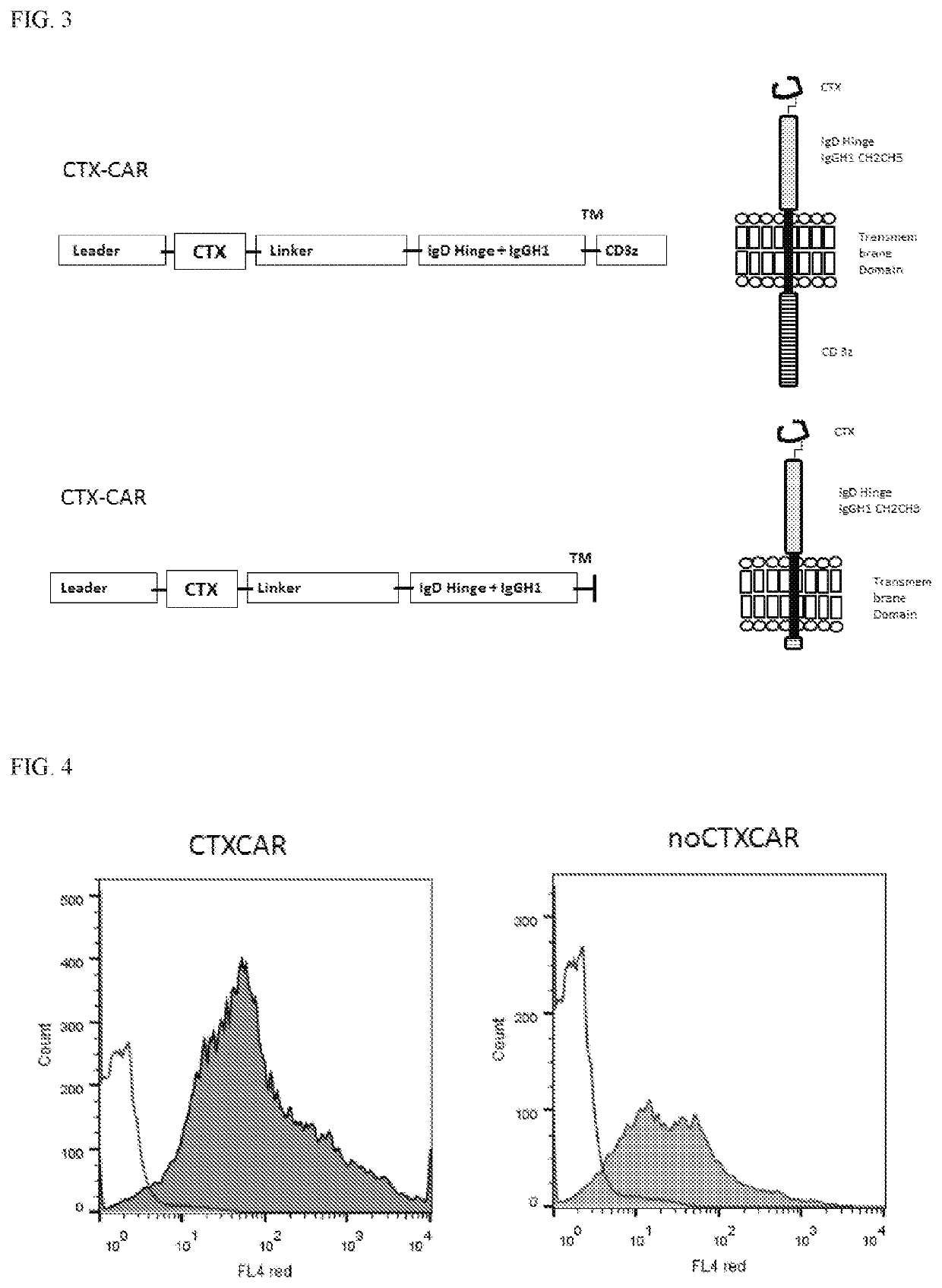 Chimeric chlorotoxin receptors