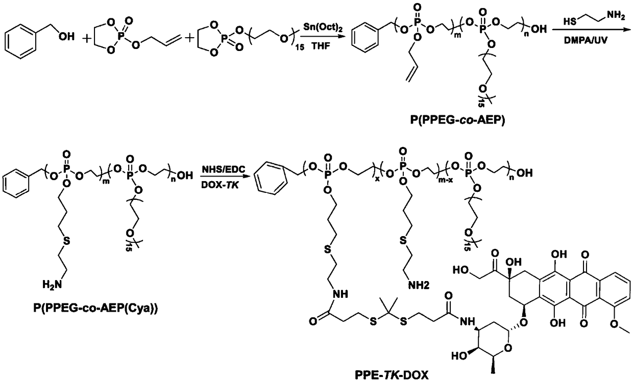 Material for thioketal bonding doxorubicin and polyphosphate, and preparation method and application thereof