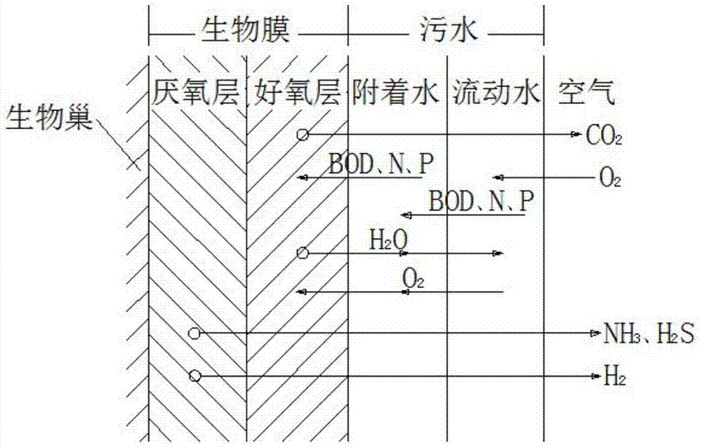 Sludge-free biologic ball ultra-clean sewage treatment method and system