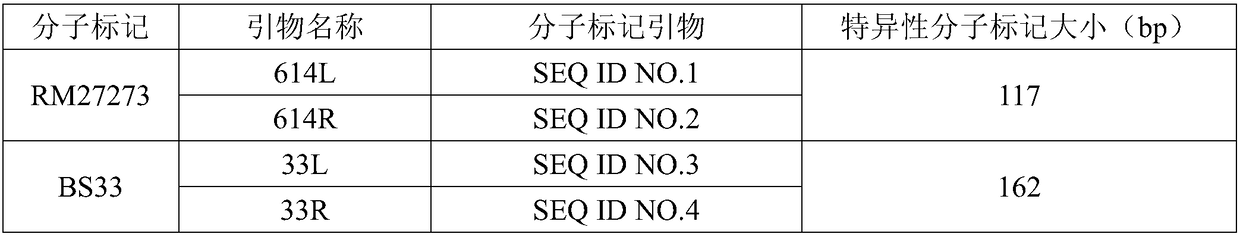 A Molecular Marker Closely Linked to Rice Jiangnan Late Blast Resistance Gene and Its Application