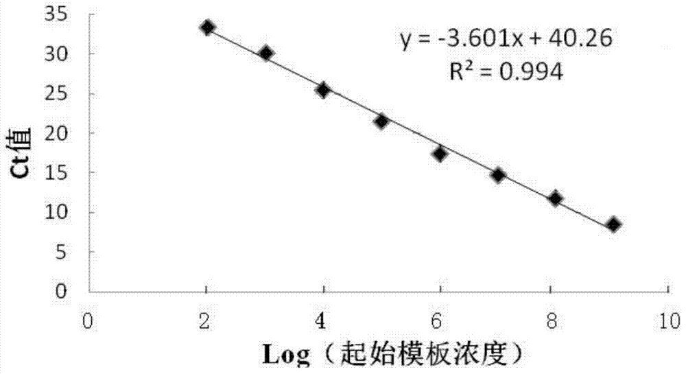 Absolute fluorescent quantitative polymerase chain reaction (PCR) primer pair, probe and method for determining growth titer of mycoplasma hyopneumoniae