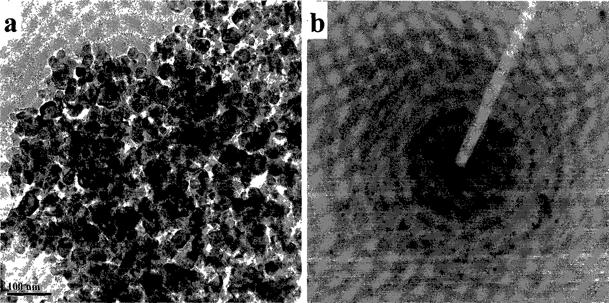 Method for preparing nanometer porous titanium oxide thick film