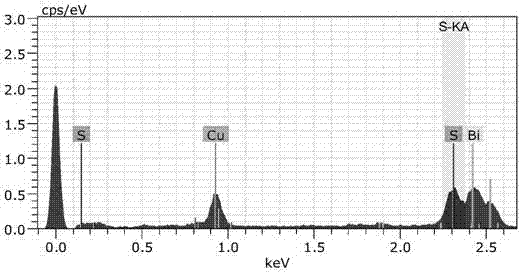 Bismuth sulfide-cuprous sulfide heterojunction composite material with sea urchin-shaped structure, preparation method and application thereof