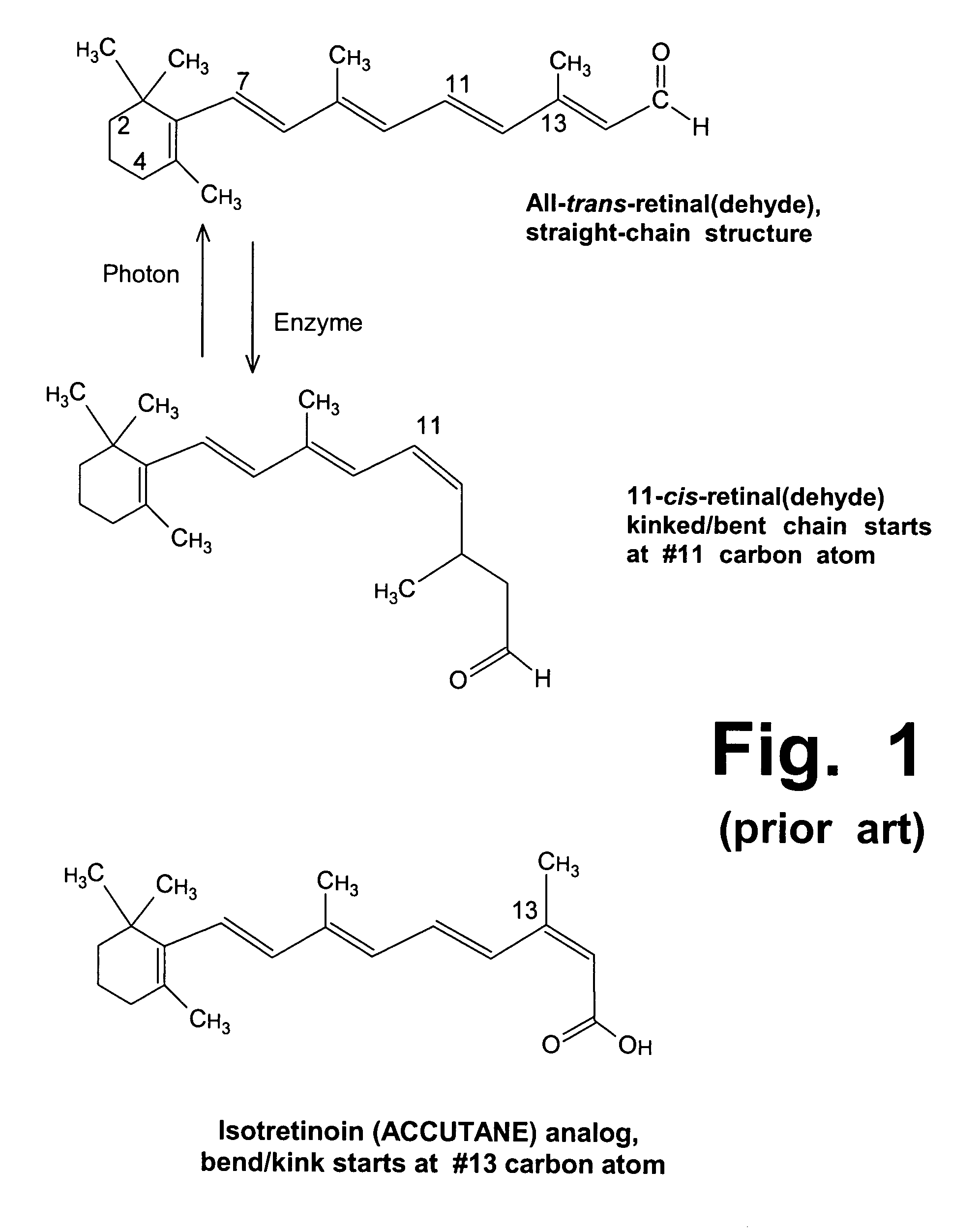 Treatment of Stargardt's disease and other lipofuscin disorders with combined retinaldehyde inhibitor and zeaxanthin