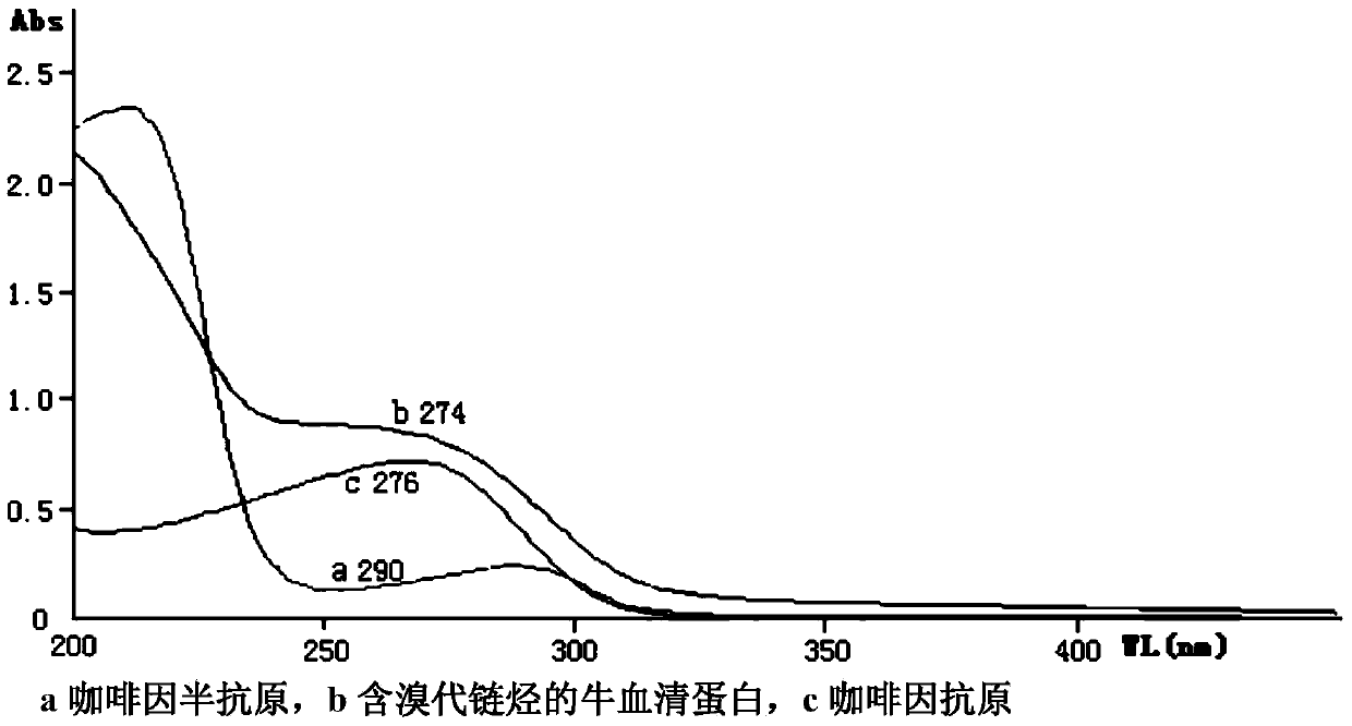 A kind of preparation method of caffeine artificial antigen