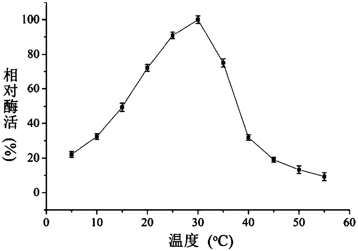 Deep sea derived strain as well as encoded beta-galactosidase gene and application thereof