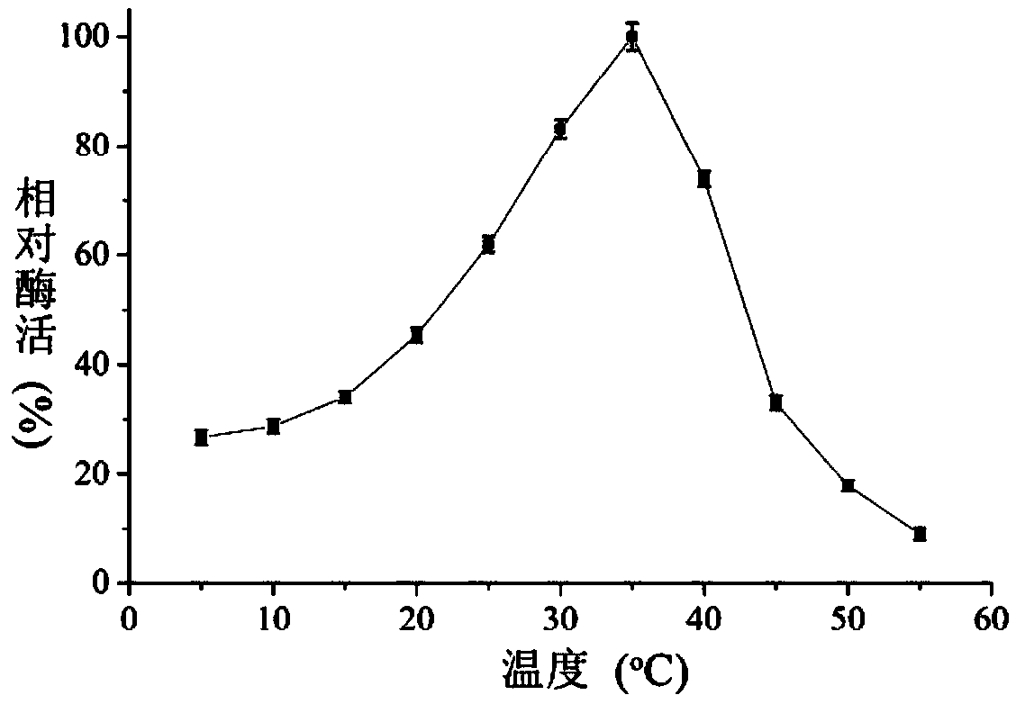 Deep sea derived strain as well as encoded beta-galactosidase gene and application thereof