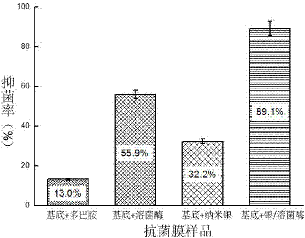 Anti-bacterial film modified by silver-lysozyme nano-cluster