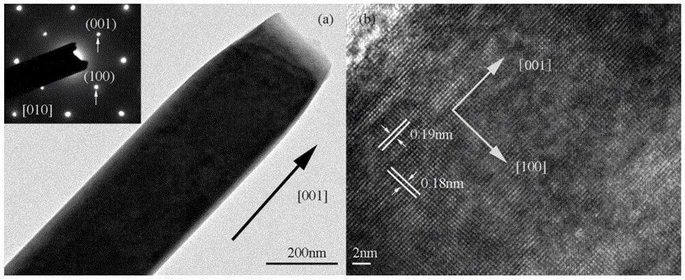 A preparation method of hydrogen sensitive element based on orthorhombic phase molybdenum oxide nanoribbon