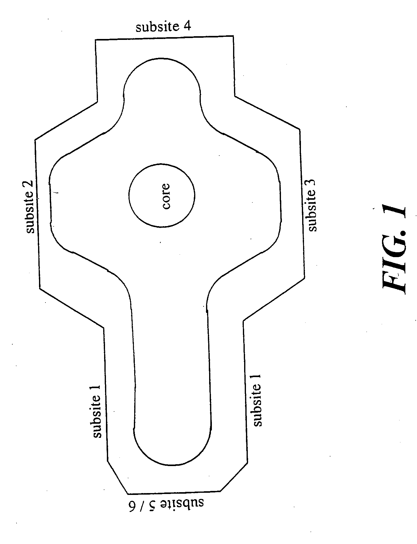 Method of identifying inhibitors of DHODH