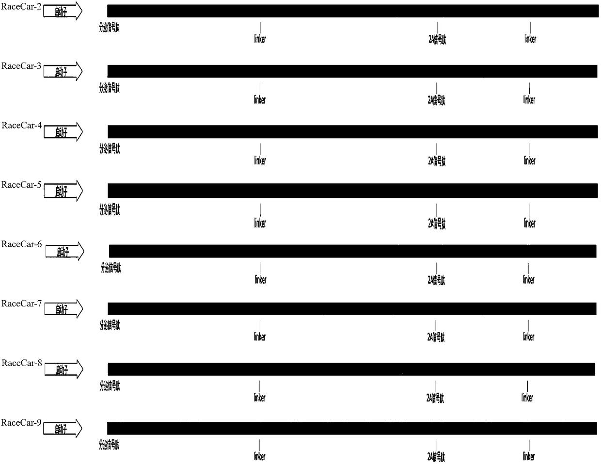 Multi-target chimeric antigen receptor