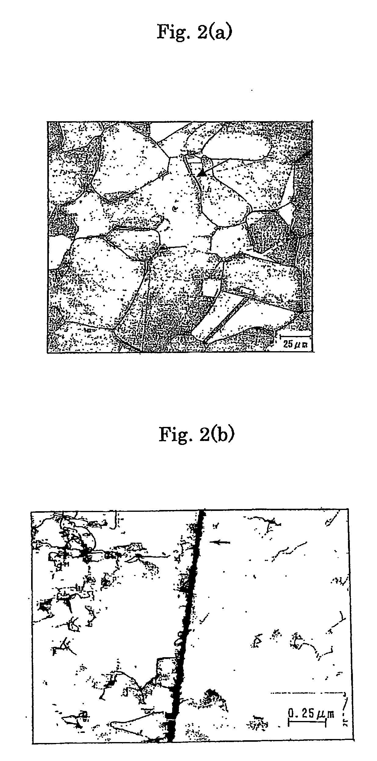 Nickel material for chemical plant