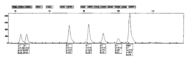 Hepatitis B virus multi-drug resistant gene locus typing detection kit