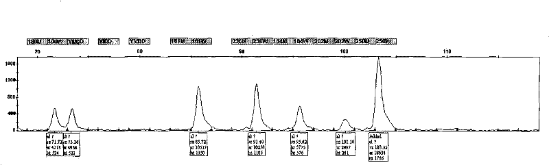 Hepatitis B virus multi-drug resistant gene locus typing detection kit