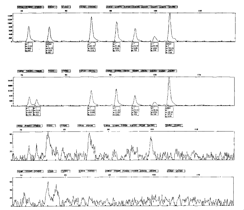 Hepatitis B virus multi-drug resistant gene locus typing detection kit